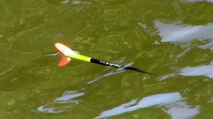 У МЕНЯ РУКА ЗАБОЛЕЛА ОТ ТАКОЙ РЫБАЛКИ! БЕШЕНЫЙ КЛЕВ НА ПРУДУ!