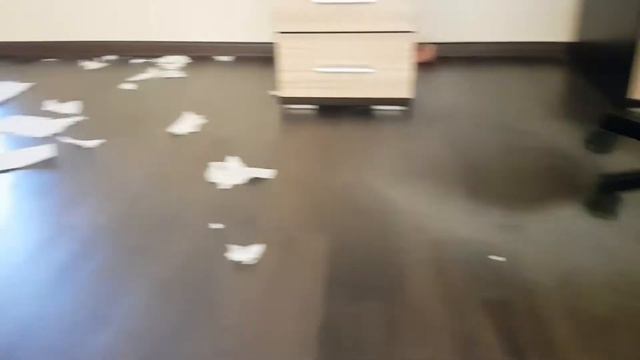 #РотвейлерАрчи желает мне доброго утра смотреть онлайн