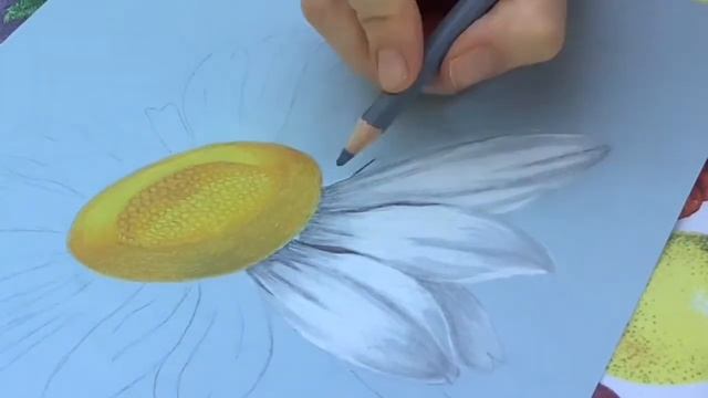 Как нарисовать цветы.Ромашка.Для начинающих.Цветными карандашами.How to draw flowers.Painting lesso смотреть онлайн