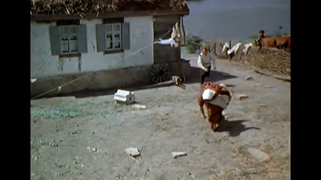 Сектор Газа.Рассказ услышанный в автокомбинате.kott1970 смотреть онлайн