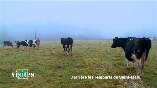Derrière les remparts de Saint-Malo - Visites privées смотреть онлайн