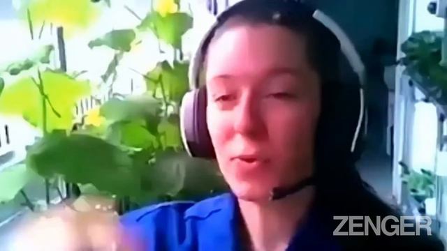 NASA Researcher Farms Crops To Harvest On Missions To Mars And The Moon смотреть онлайн