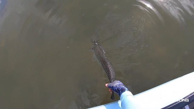 Gulp! Jerk Shad VS. Alabama Leprechaun [Jerk Shad Lure Contest] смотреть онлайн