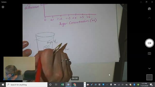 Potato Lab Explanation смотреть онлайн