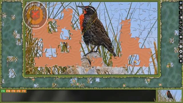 (loquendo) Jugando con Frylock - Pixel Puzzles Ultimate Jigsaw смотреть онлайн