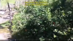 Плазма. Открытие Мехрана Кеше - "Кубок Жизни". Радий Бабану кратко об исцелении от рака плазмой.