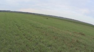 Охота на дупеля в Ярославской области