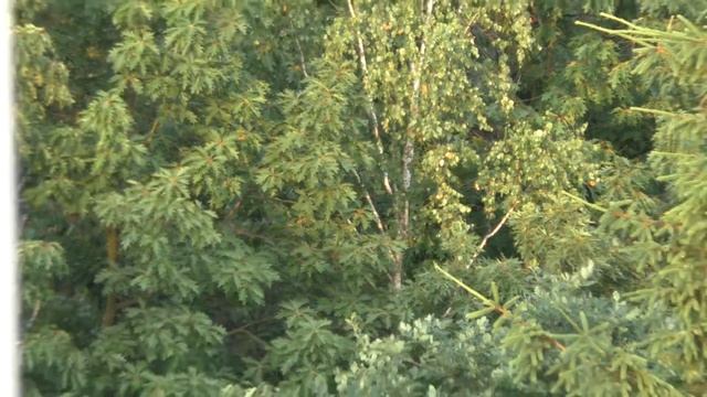 Panasonic HC-V750 zoom test смотреть онлайн