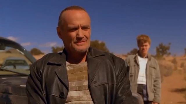 Пиратская озвучка би лайк: смотреть онлайн