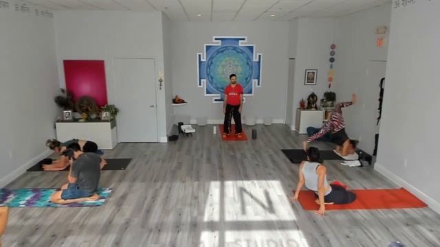 Skanda Yoga Power Vinyasa Class: Red Magnetic Dragon Level 2 Anand 12 14 20