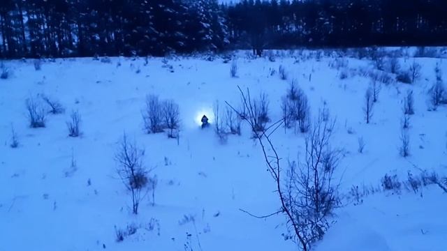 рысь 119,рысь 440 смотреть онлайн