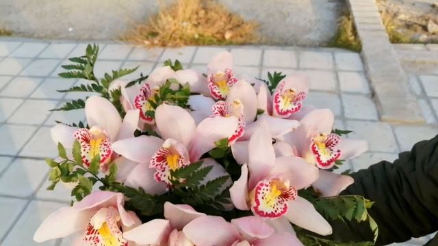 Коробка с Орхидеей Шелковая смотреть онлайн