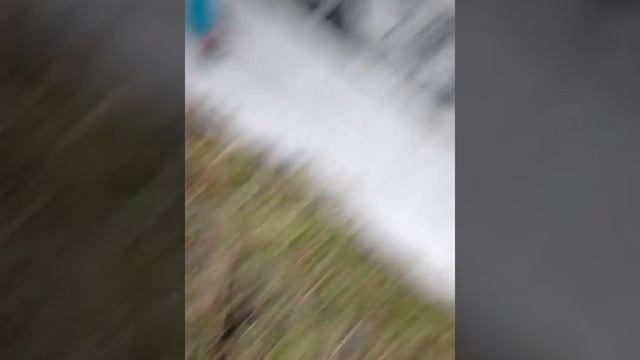 ФОтки с букетом цветов смотреть онлайн