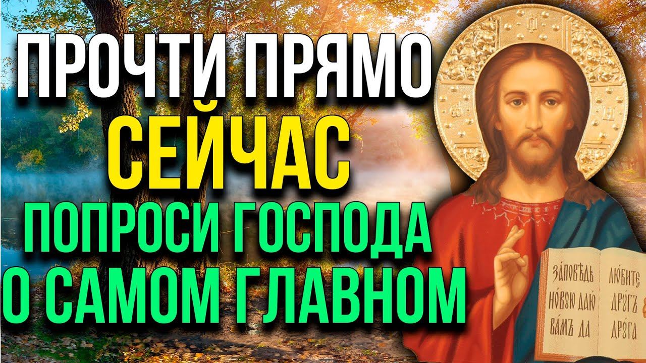 СЕГОДНЯ УТРОМ ПРОЧТИ МОЛИТВУ ГОСПОДУ СПАСИТЕЛЮ НАШЕМУ ИИСУСУ ХРИСТУ. ОН ВОЗЬМЁТ ТЕБЯ ПОД СВОЙ ПОКРОВ смотреть онлайн