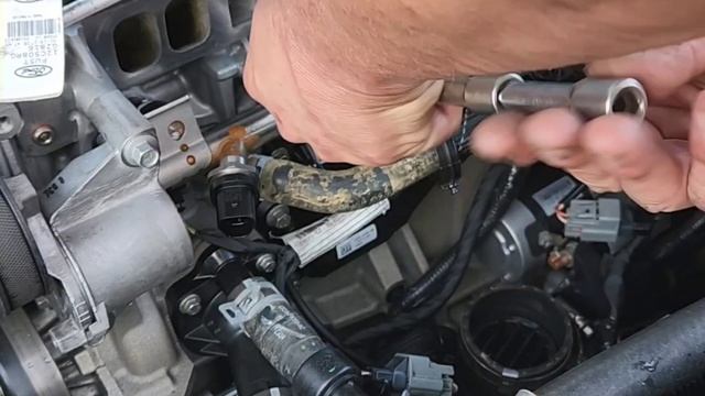 #Ford#Fusion#2.0#ecoboost #P0303#fuel#emissions#boost #troubleshooting#turbo#viral#fyp смотреть онлайн