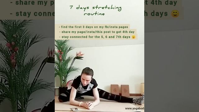 7 days stretching смотреть онлайн