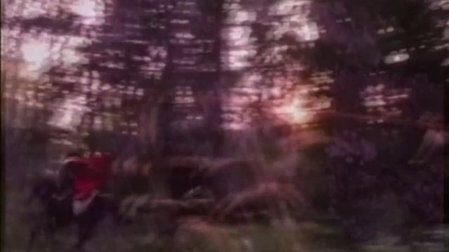 Александр Башлачёв - "Вишня" ( испол. гр. Волчьи Ягоды) смотреть онлайн