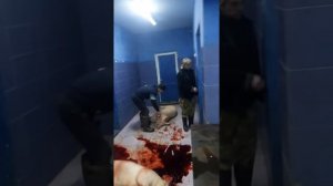 Заколоть свинью