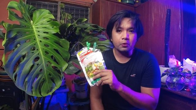 How To Successfully Propagate Monstera Deliciosa Stem Cutting | 100% Effective Method смотреть онлайн