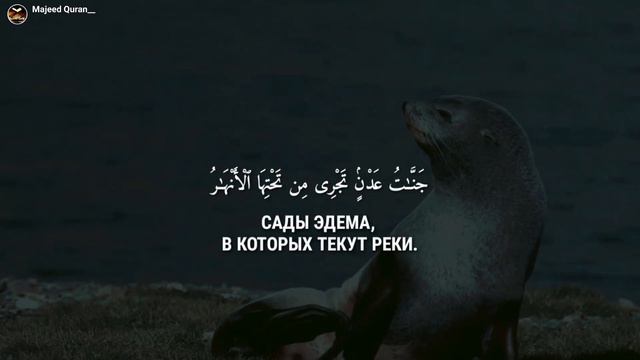 Sherif Mostafa Сура ТА.ХАالقرآن الكريم смотреть онлайн