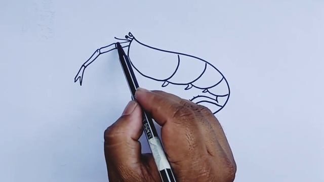 Как нарисовать кавайную КРЕВЕТКУ? | How to draw Shrimp смотреть онлайн