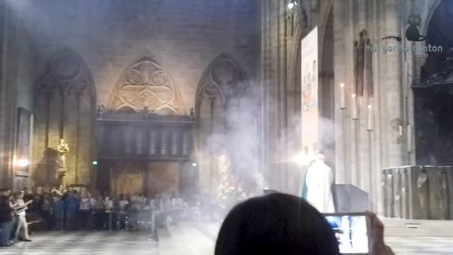 СГОРЕЛ СОБОР ПАРИЖСКОЙ БОГОМАТЕРИ! Notre dame de Paris смотреть онлайн