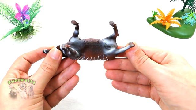 The CollectA Bongo Antelope 😍 Fast & Closer Review / Animal figurines & Toys смотреть онлайн