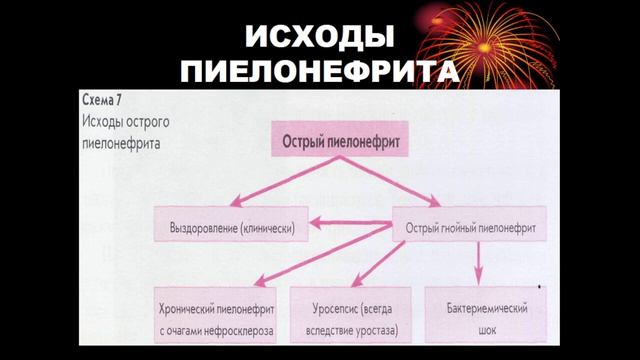 15:00-16:30 ВОСПАЛИТЕЛЬНЫЕ ЗАБОЛЕВАНИЯ МОЧЕПОЛОВЫХ ОРГАНОВ смотреть онлайн