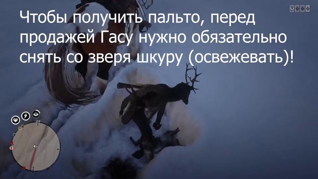 Как получить пальто Мраморный Хвост и где искать Легендарную лису в Red Dead Redemption 2 Online PC смотреть онлайн