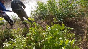 Ловля сома на поставушки.