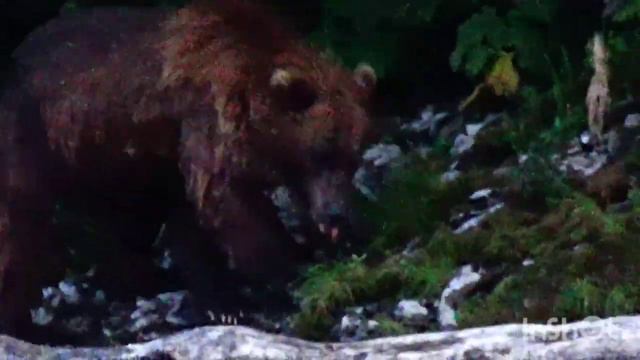 Камчатка трёхдневный сплав река Быстрая. смотреть онлайн