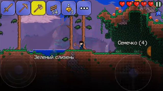 Terraria первый взгляд смотреть онлайн