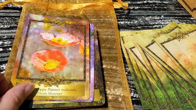 Alchemy Flower Oracle ? Walk Through смотреть онлайн