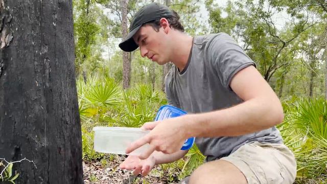 Are Scorpions Dangerous?