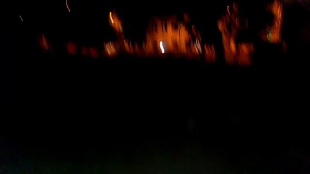 Сериал ИМРК 118— Прогулки с собаками с Иваном Краснояровым