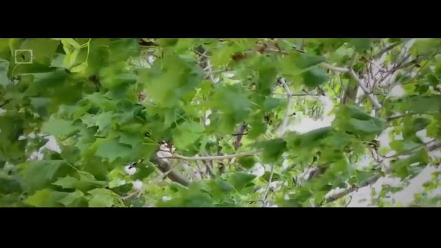 АЛИЯ АТАМБАЕВА Рассказала правду!!! 18