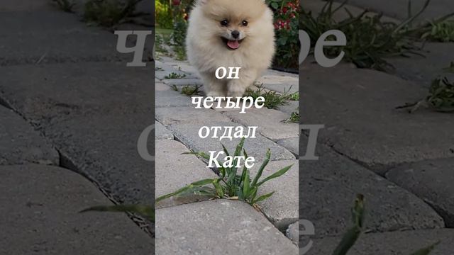 У мужчин и женщин совершенно разные мышления смотреть онлайн
