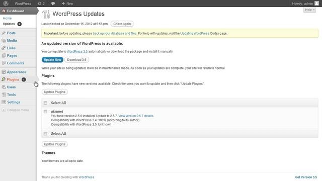 How to Update WordPress Plugins смотреть онлайн
