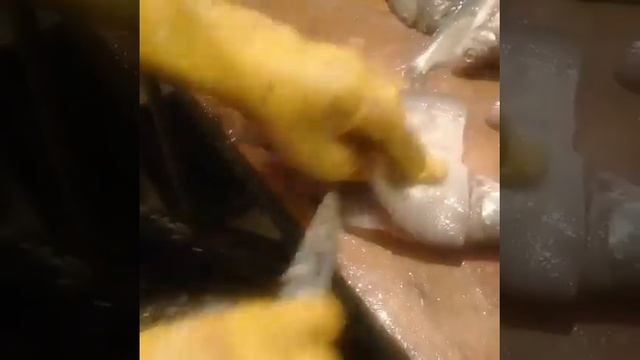 БАЛЫК ЛЕЩ ПЛАСТ.РЫБА смотреть онлайн