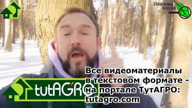 НЕ РЕЖЬТЕ ДЕРЕВЬЯ! Сперва посмотрите это видео. Фатальная ошибка даже опытных садоводов! смотреть онлайн