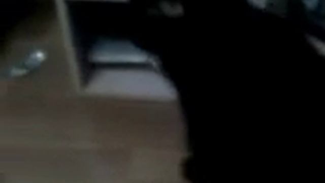 Как похудеть коту(кошке) за 1 месяц. ШОК смотреть онлайн
