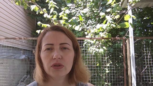 число экспрессии смотреть онлайн