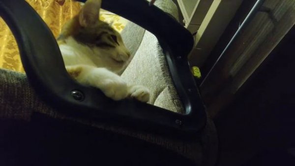 Time to play! Время поиграть!