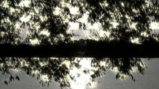Alexander Gamy - "В эту лунную ночь" P.Tschaikovsky смотреть онлайн