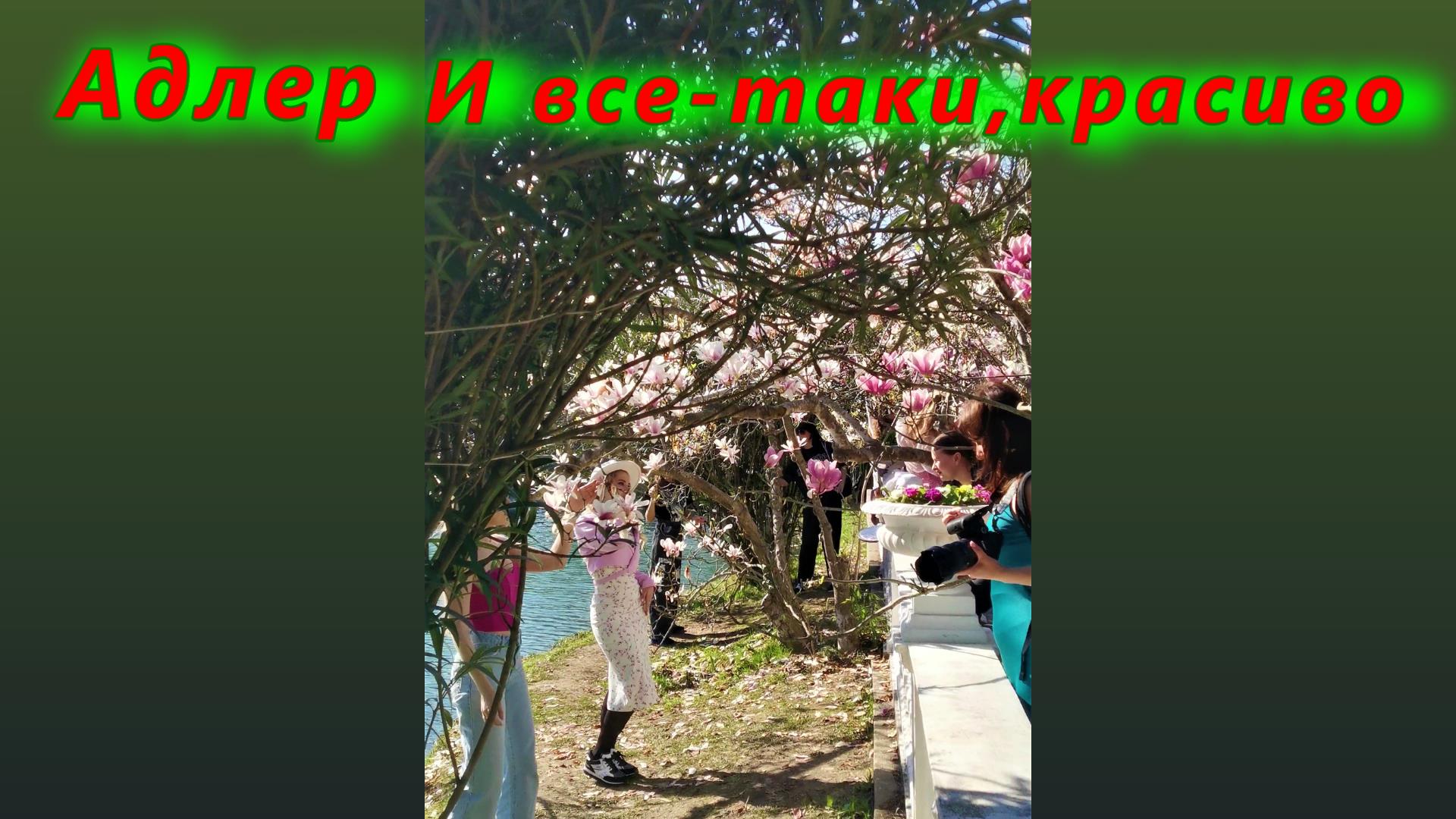 Адлер/ И все- таки, красиво смотреть онлайн