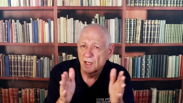 Should You Bait or Trench to Kill Subterranean Termites? смотреть онлайн