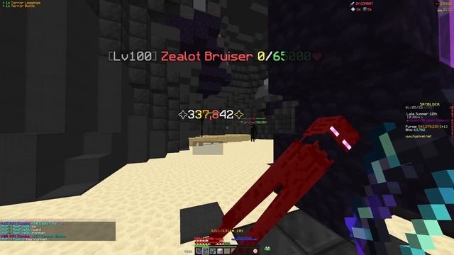The Ultimate Zealot Progression Guide (Hypixel Skyblock)