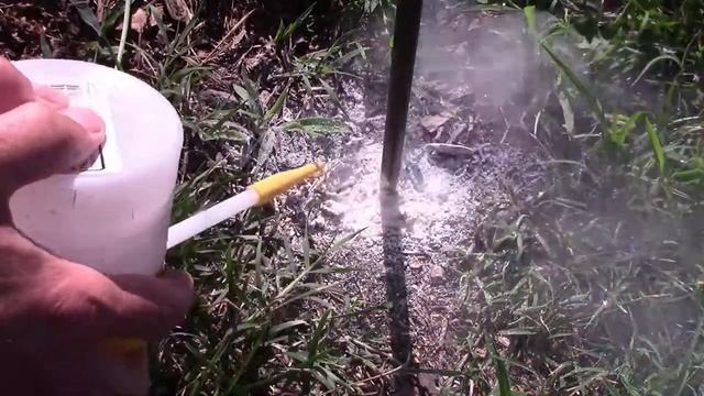How To Keep Ants Off Of Your Grape Jelly Bird Feeder смотреть онлайн