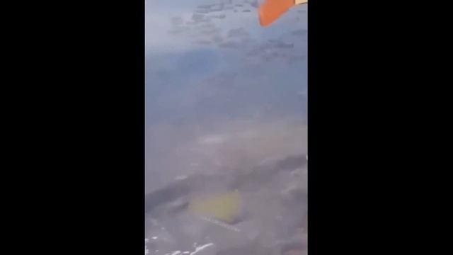 Мужчина утонул в проруби смотреть онлайн