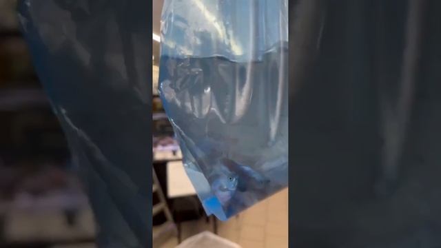 Новая поставка из Китая ?? смотреть онлайн